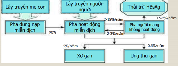 1. Thế nào là người lành mang virus? 1