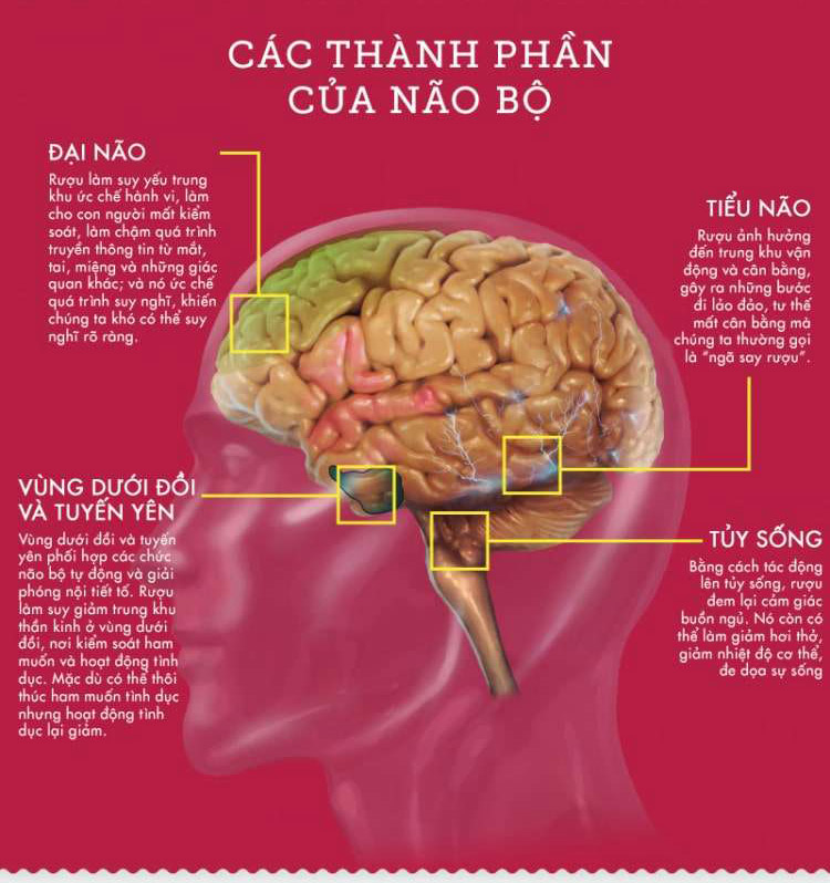 Hình ảnh say rượu dưới góc nhìn khoa học 4