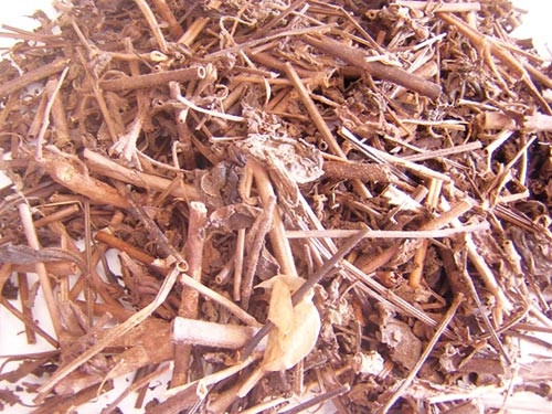Một số cây thuốc tốt cho gan và người bệnh viêm gan 3 Một số cây thuốc tốt cho gan và người bệnh viêm gan 3
