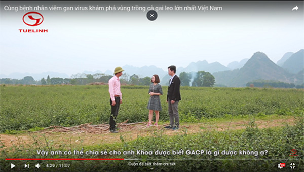 Cùng người bệnh viêm gan virus khám phá vùng trồng cà gai leo sạch đạt chuẩn GACP - WHO hàng đầu Việt Nam 1 Cùng người bệnh viêm gan virus khám phá vùng trồng cà gai leo sạch đạt chuẩn GACP - WHO hàng đầu Việt Nam 1
