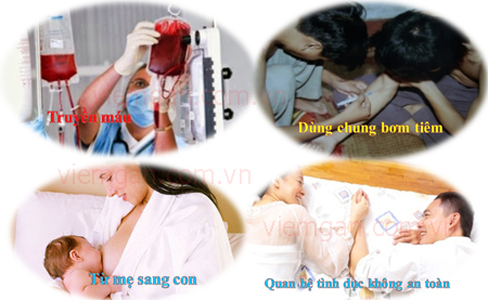 Bệnh viêm gan C lây qua đường nào? 1