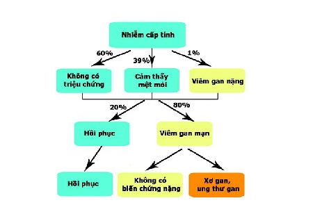 Giai đoạn 1: Giai đoạn viêm gan C cấp tính 1 Giai đoạn 1: Giai đoạn viêm gan C cấp tính 1