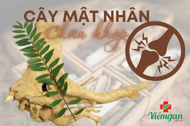3. Giúp tiêu hóa tốt, giảm đau nhức xương khớp 1