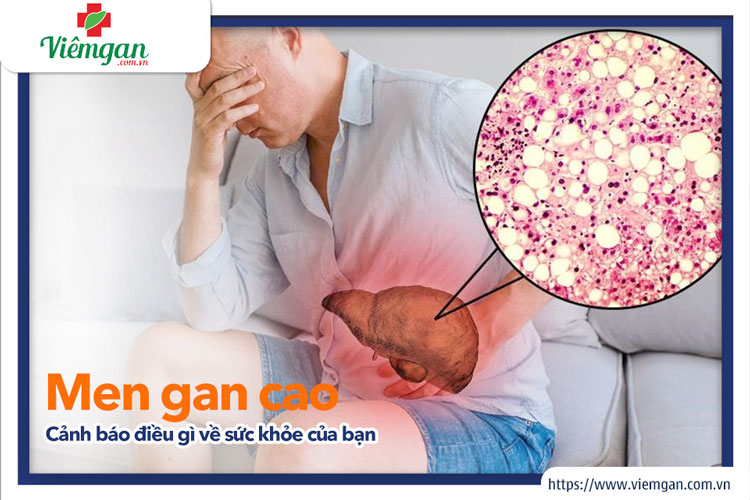 Chỉ số men gan bình thường là bao nhiêu? 1