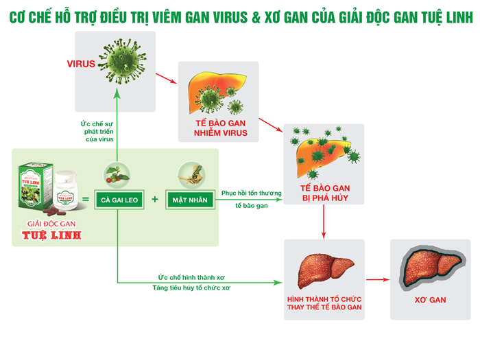 3. Viết tiếp giấc mơ dang dở cho hàng triệu bệnh nhân bằng thảo dược quen thuộc 2