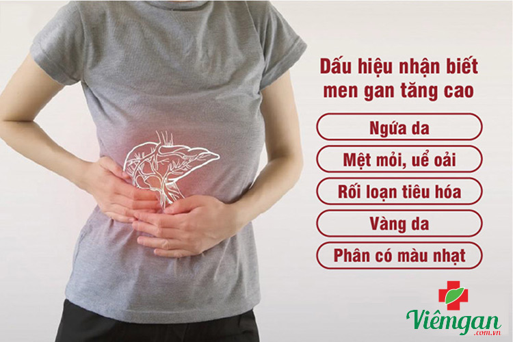 Triệu chứng khi bị men gan cao 1