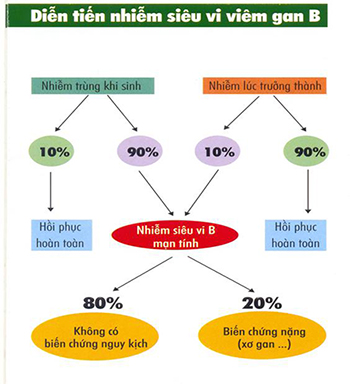 Viêm gan B, coi chừng “mắc bẫy” lang vườn 2