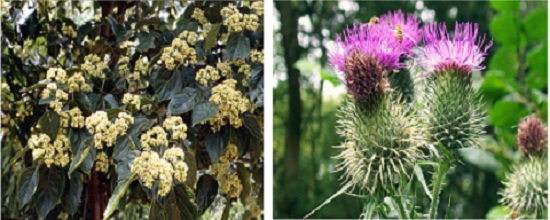 Uống rượu bia như thế nào để bảo vệ cho sức khỏe tốt nhất? 2