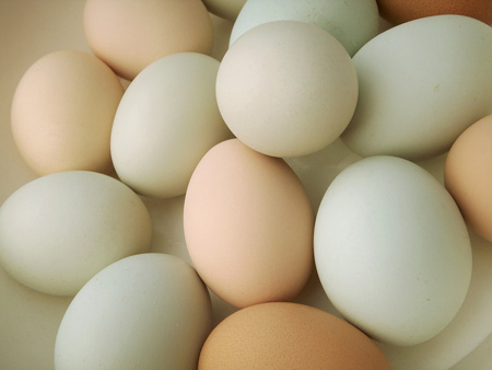 Gan nhiễm mỡ có ăn trứng được không ? 1