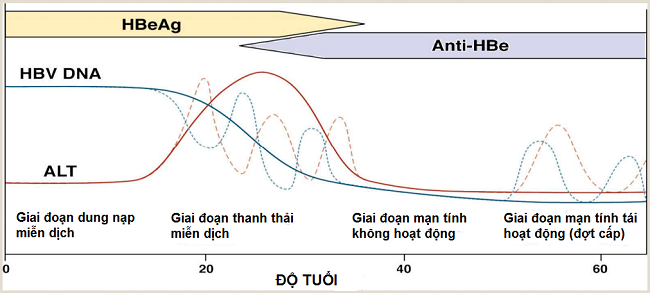 Tuyệt đối tuân thủ phác đồ điều trị 1