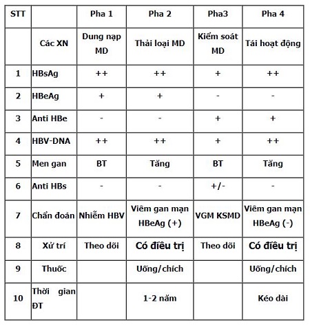 Giai đoạn hoạt động thanh thải miễn dịch 1