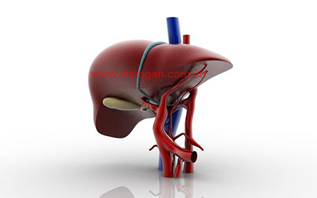 Xơ gan mất bù – Nguyên nhân, triệu chứng, điều trị Xơ gan mất bù – Nguyên nhân, triệu chứng, điều trị