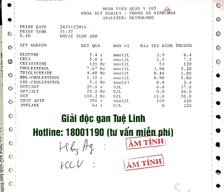 2. Dược liệu vàng giúp viêm gan về âm tính 2