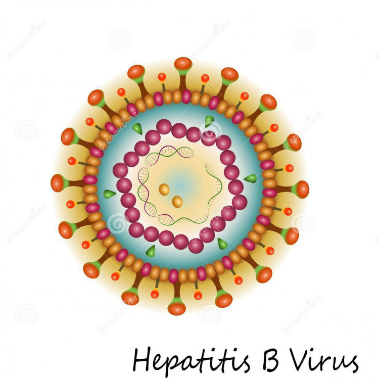 11 lưu ý trong điều trị viêm gan virus B 1