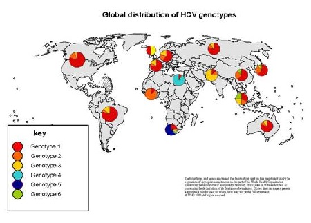 Phân bố địa lý viêm gan C hiện nay 1 Phân bố địa lý viêm gan C hiện nay 1