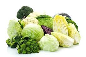 3 bài thuốc mát gan giải độc cực tốt cho cơ thể 4 3 bài thuốc mát gan giải độc cực tốt cho cơ thể 4