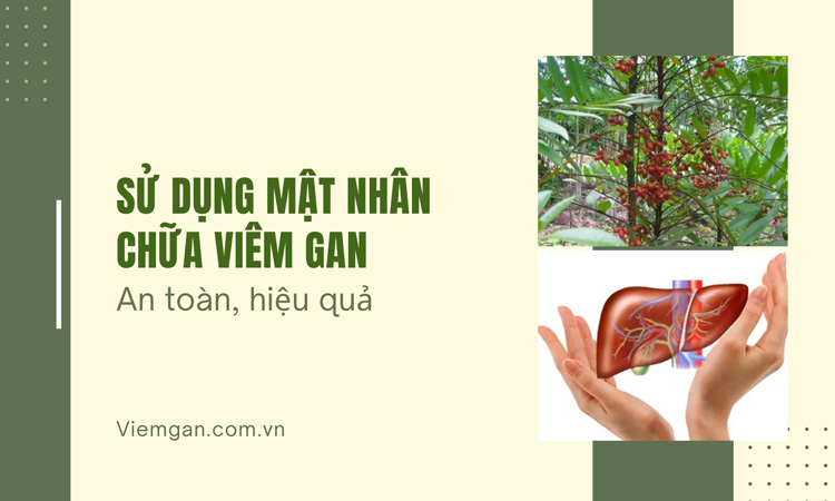 Bí quyết sử dụng mật nhân chữa viêm gan hiệu quả 1