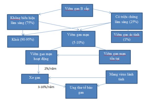 Người lành mang virus viêm gan B vẫn đối mặt với nhiều nguy cơ 1 Người lành mang virus viêm gan B vẫn đối mặt với nhiều nguy cơ 1