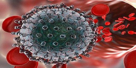 1.    Con đường lây nhiễm virus viêm gan C 1