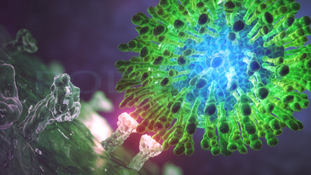 Viêm gan C thể cấp tính và mãn tính khác nhau như thế nào? 1 Viêm gan C thể cấp tính và mãn tính khác nhau như thế nào? 1