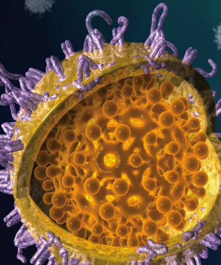 Гепатит б 6. Вирус гепатита б. Вирусы под микроскопом. Вирусная клетка. Инфекции под микроскопом.