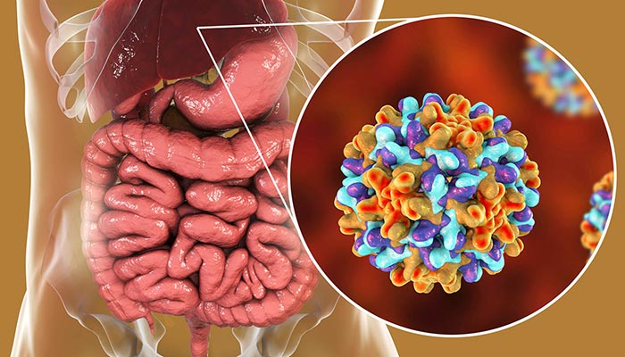 Virus viêm gan B là gì? 1