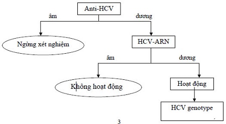 Xét nghiệm xác định nhóm virus viêm gan C (Serotype HCV): 1