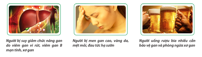 Ai nên sử dụng Giải độc gan Tuệ Linh