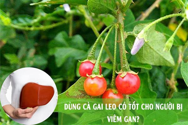 Hỏi: 1