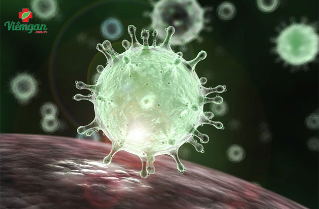 Gan khỏe tới đâu, sống lâu tới đó 1