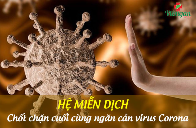 Chốt chặn quan trọng cuối cùng ngăn cản virus corona tấn công cơ thể 1 Chốt chặn quan trọng cuối cùng ngăn cản virus corona tấn công cơ thể 1