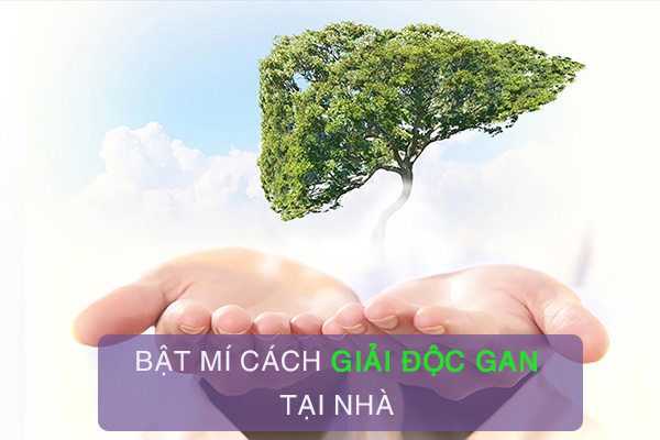 Bật mí 17 cách giải độc gan tại nhà hiệu quả 1