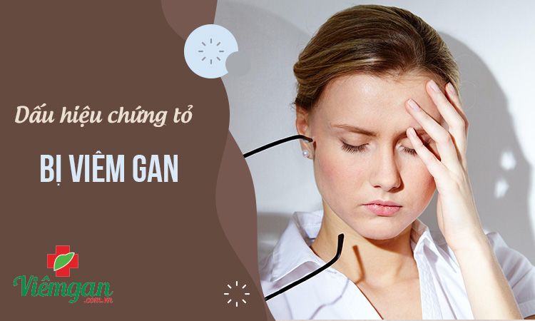 Dấu hiệu bệnh viêm gan theo từng thể bệnh 1 Dấu hiệu bệnh viêm gan theo từng thể bệnh 1