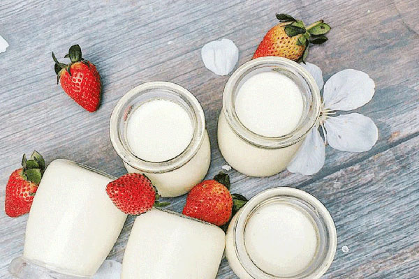 Sữa chua 1 Sữa chua 1