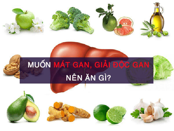 Thực phẩm món ăn mát gan, giải độc hiệu quả