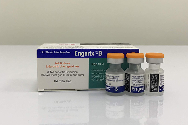 Tìm hiểu về vắcxin Engerix-B phòng viêm gan B 1