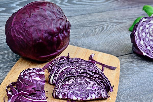 Ăn bắp cải tím 1