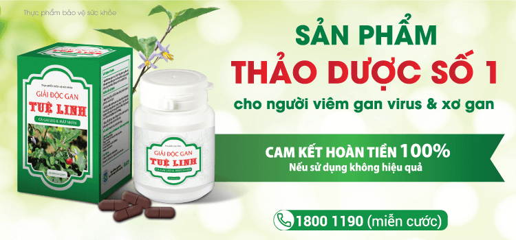 4. Các quy định khác: 1 4. Các quy định khác: 1