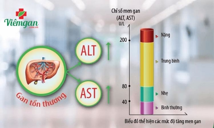 Men gan cao bao nhiêu thì nguy hiểm? 1