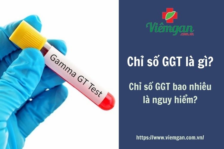 Chỉ số GGT là gì? Chỉ số GGT bao nhiêu là nguy hiểm? 1