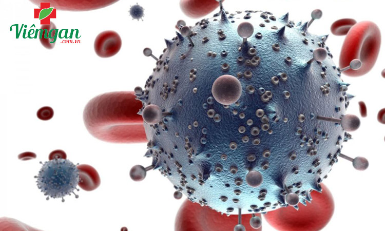Một số thông tin sơ lược về virus viêm gan B 1