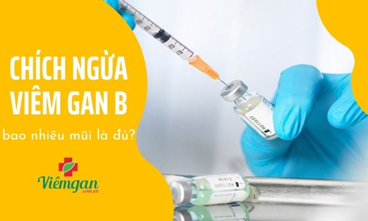 Chích ngừa viêm gan B bao nhiêu mũi là đủ? 1 Chích ngừa viêm gan B bao nhiêu mũi là đủ? 1