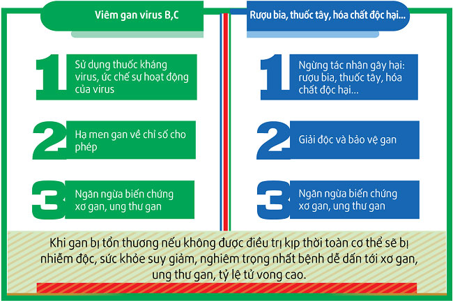 2. Cách điều trị viêm gan virus và viêm gan do rượu bia, thuốc tây, hóa chất độc hại 1 2. Cách điều trị viêm gan virus và viêm gan do rượu bia, thuốc tây, hóa chất độc hại 1