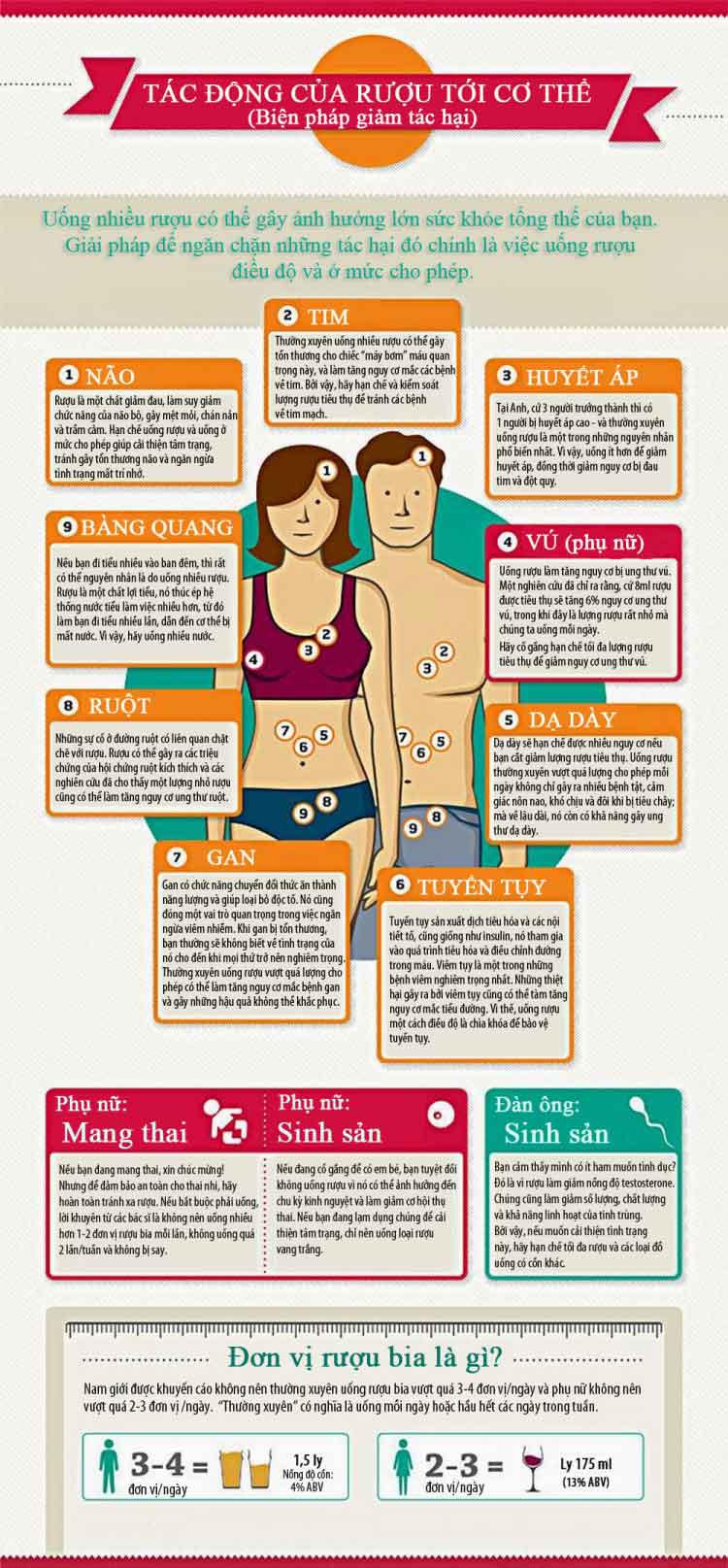 Rượu phá hủy nội tạng như thế nào Rượu phá hủy nội tạng như thế nào