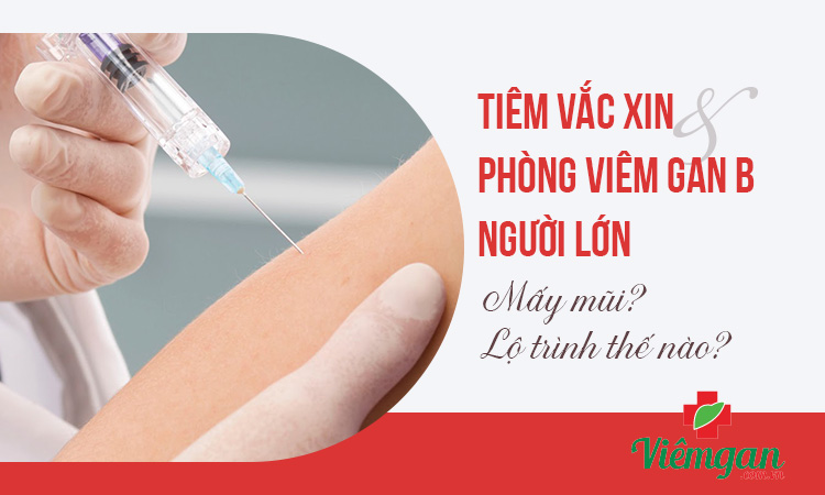Tiêm ngừa viêm gan B cho người lớn mấy mũi, chi phí? 1 Tiêm ngừa viêm gan B cho người lớn mấy mũi, chi phí? 1