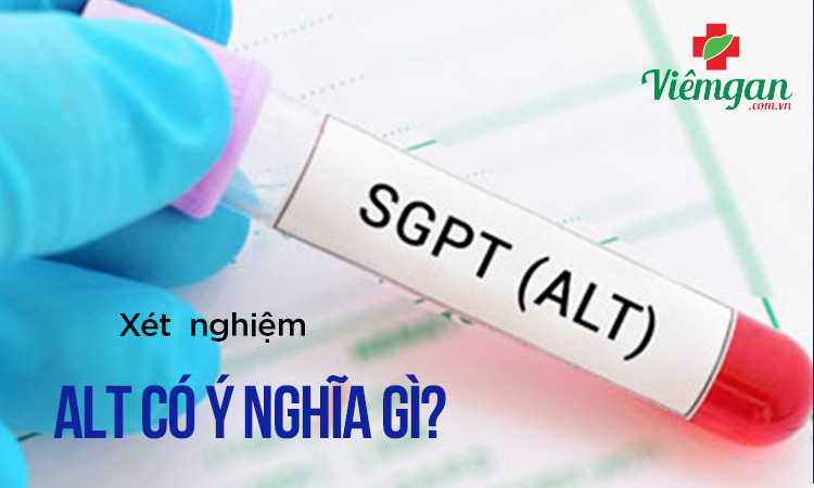 Chỉ số ALT là gì? Xét nghiệm ALT tăng cao có ý nghĩa gì?