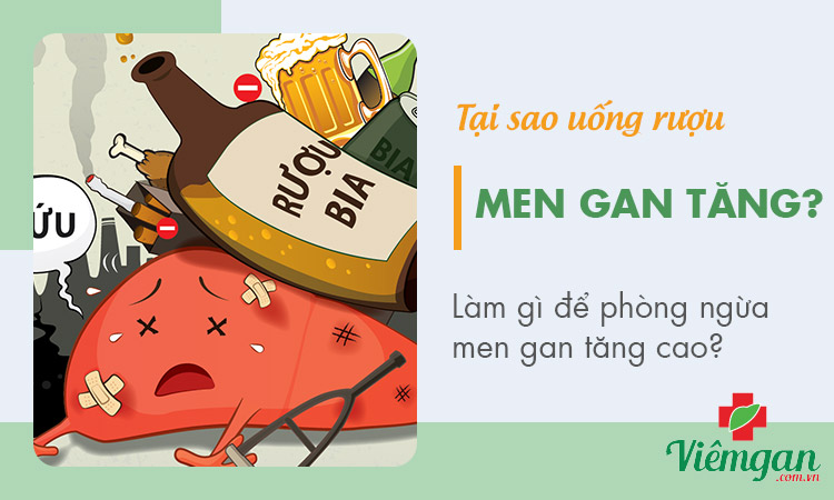 Vì sao men gan cao do uống nhiều rượu bia? Cách phòng tránh? 1