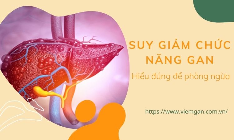 Suy giảm chức năng gan là gì? 1