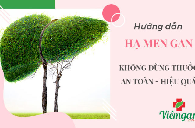 Cách giảm men gan không dùng thuốc ngay tại nhà Cách giảm men gan không dùng thuốc ngay tại nhà