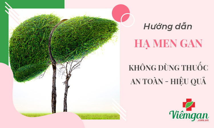 Chữa men gan cao không dùng thuốc: Liệu có hiệu quả? 1